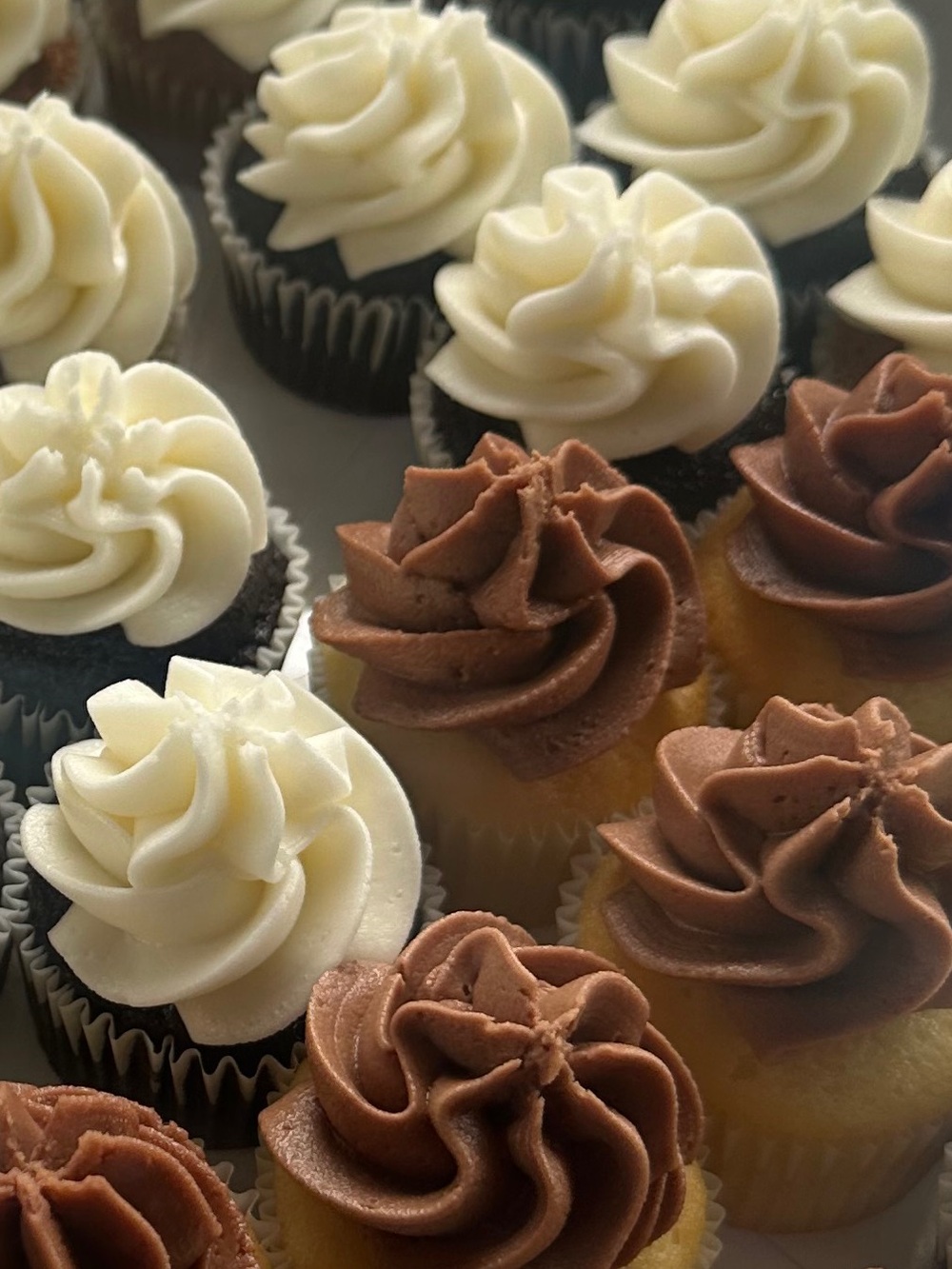 💕It’s Sweet Givvy Time🧁 + FREE Shipping🛍️